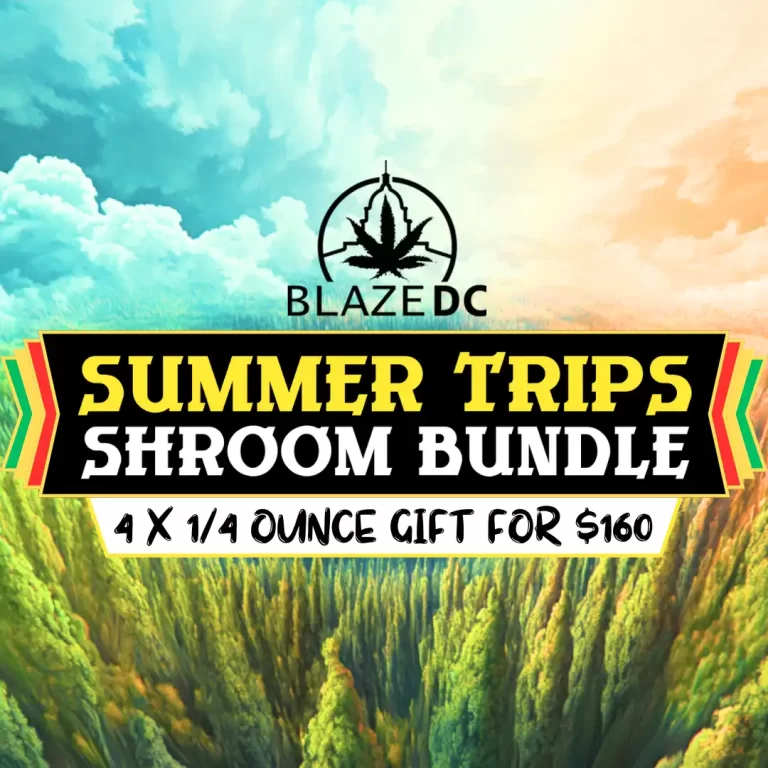 Summer Trips Bundle