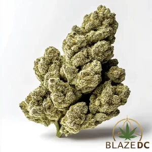 Venom Runtz Indica Hybrid Flower Blaze DC