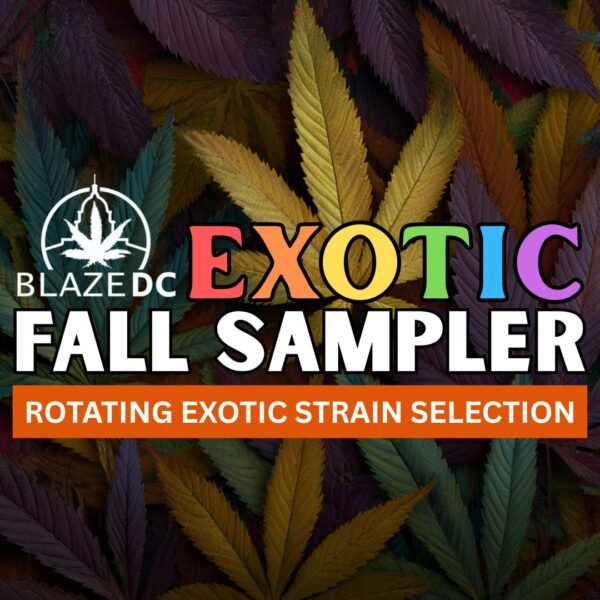 Exotic Fall Sampler | Mix-and-Match