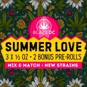 Summer Love Mix-&-Match Bundle
