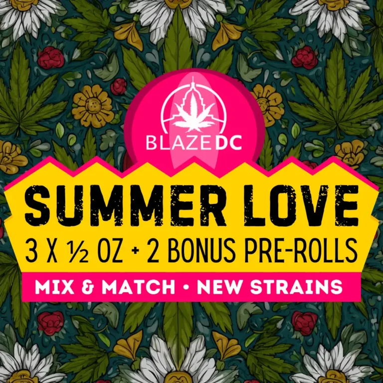 Summer Love Mix-&-Match Bundle