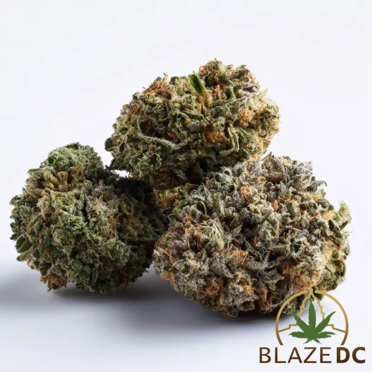 Sundae Driver Exotic Indoor Grow Hybrid Washington DC
