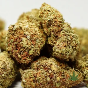 Candy Jack Sativa Cannabis Strain
