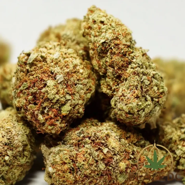 Candy Jack Sativa Cannabis Strain