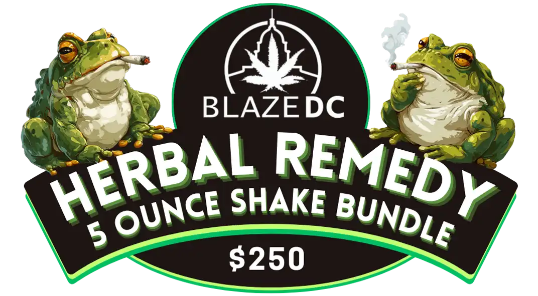 Labor Day Shake Special CO