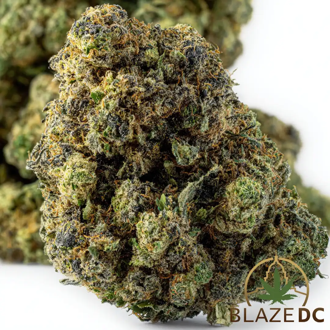 Layer Cake | Hybrid Flower