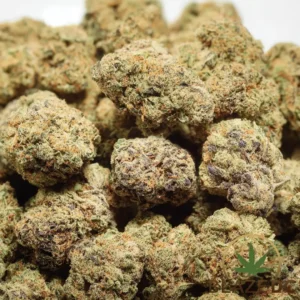 MAC 1 (Miracle Alien Cookies #1) Hybrid Flower