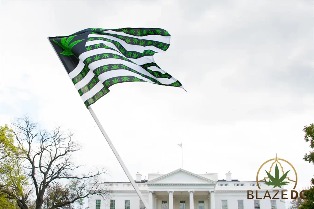 Where Can You Smoke Weed in DC