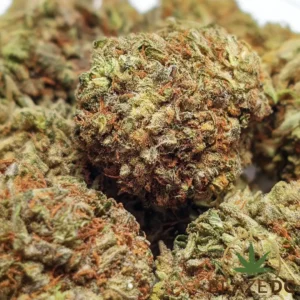 Amnesia Haze Sativa Hybrid Flower