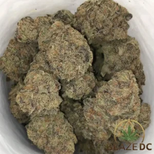 Cookies and Cream Indoor Exotic FLower