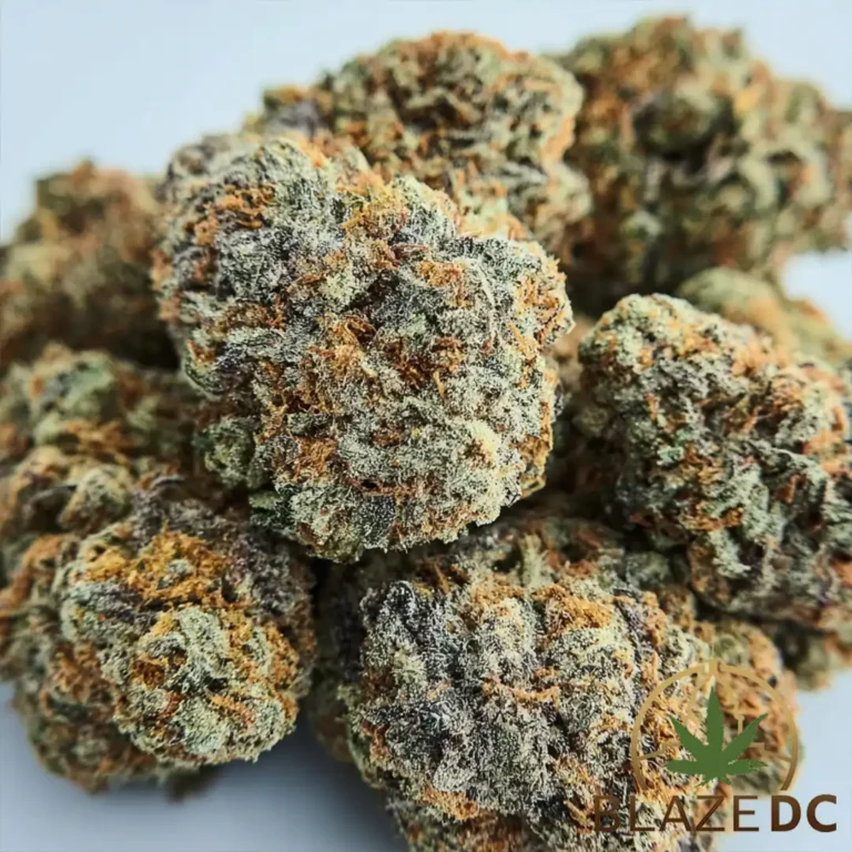 Lemon Cherry Gelato Hybrid