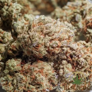 Purple Punch Indica Hybrid Flower