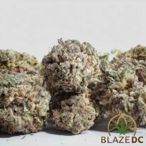 Blood Orange Strain from Blaze DC in Washington DC