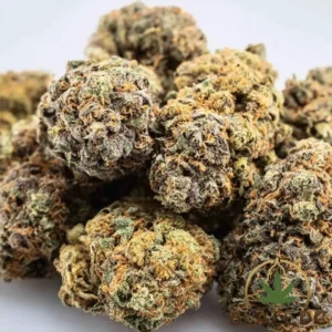 White Runtz Hybrid Flower