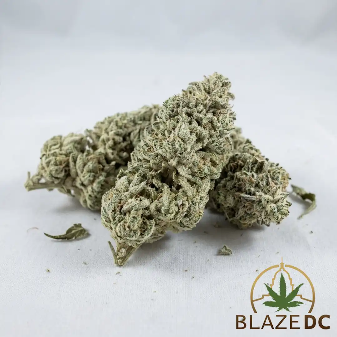 Blanco Cannabis Strain