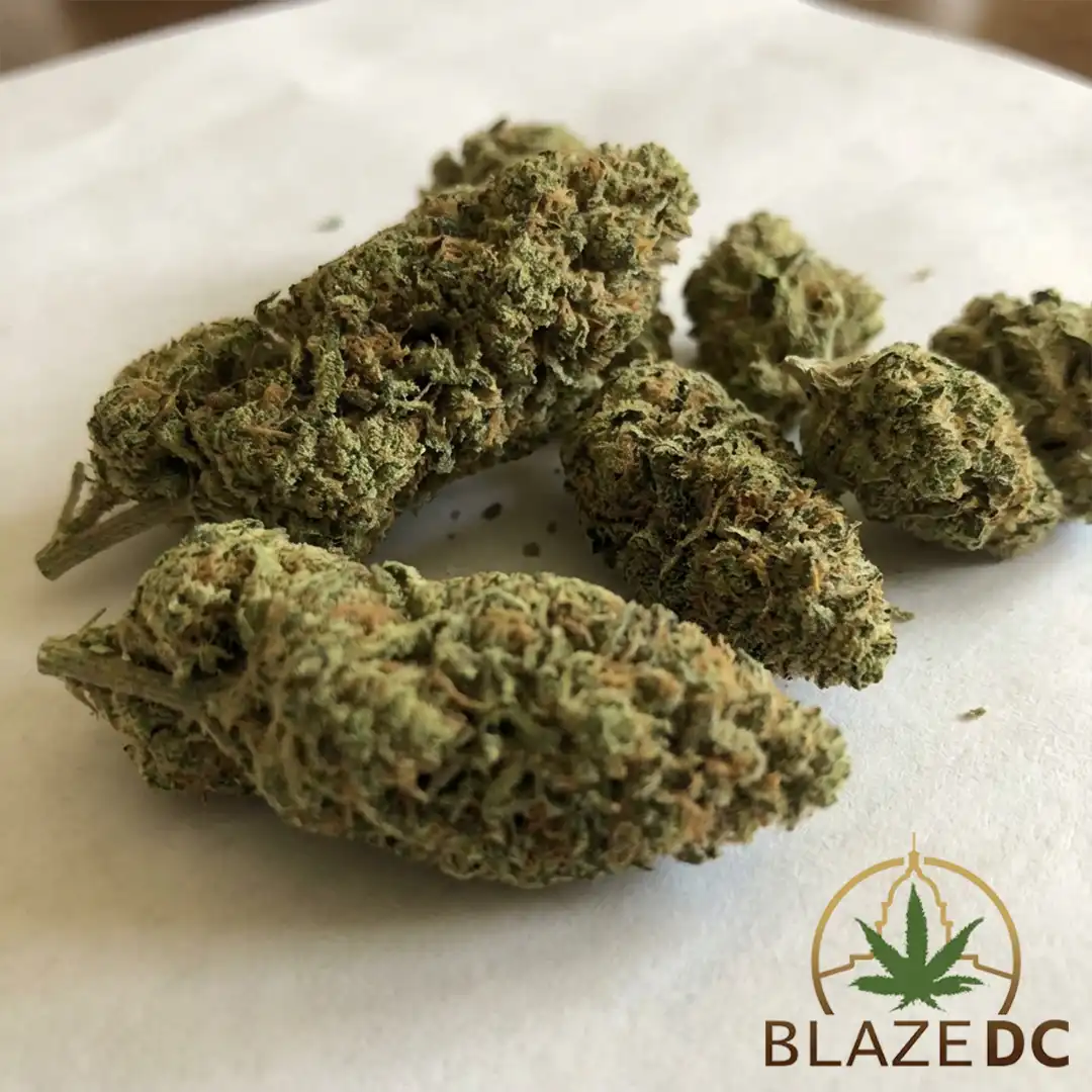 Durban Poison Cannabis Strain