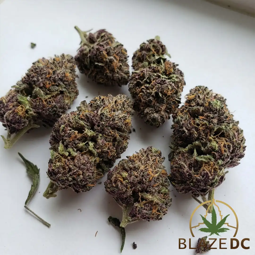 Granddaddy Purple Cannabis Strain - Washington DC