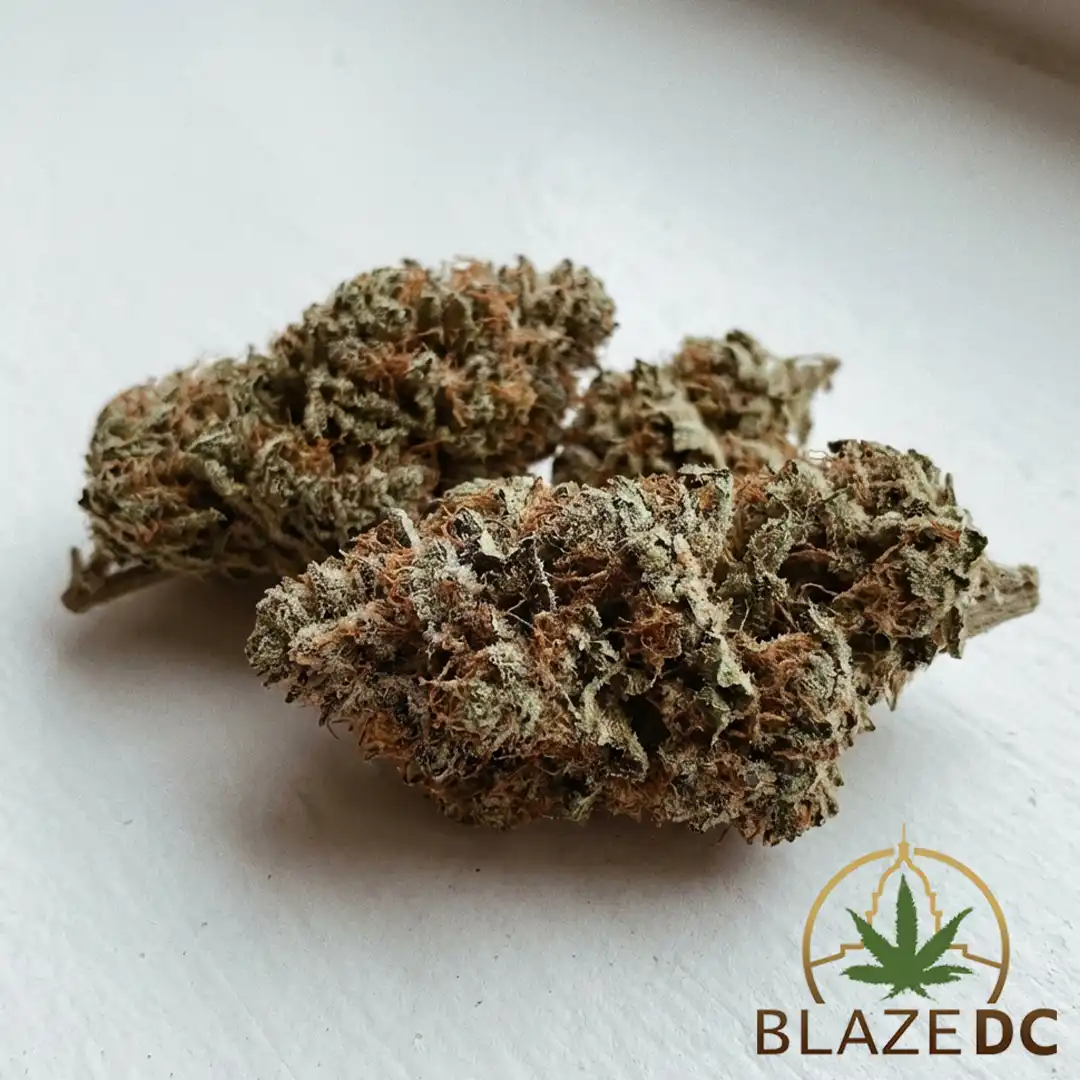 Jack Herer Cannabis Strain