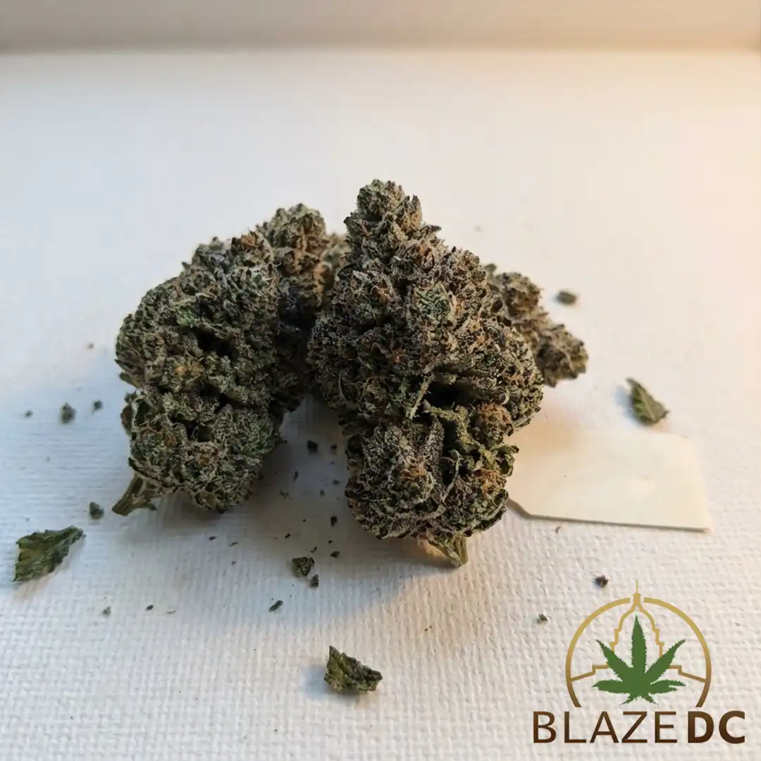 Kush Mints Cannabis Strain