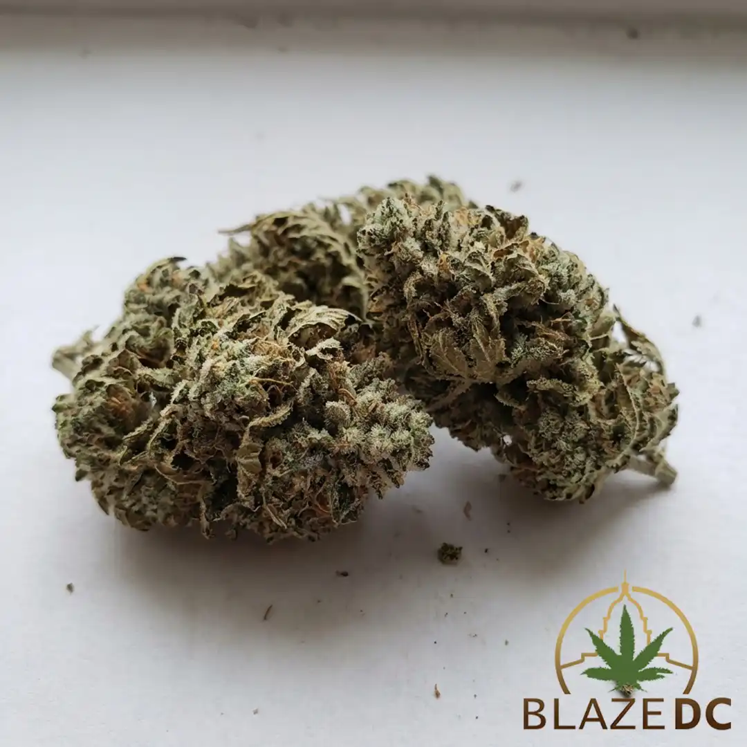 White Widow Cannabis Strain Blaze