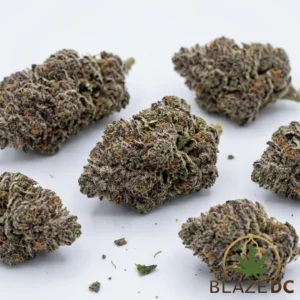 Oreo Cake Cannabis Strain