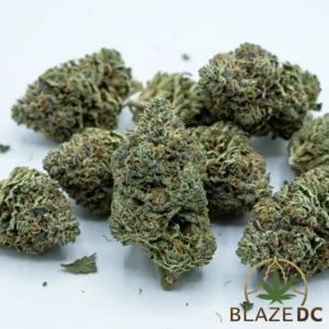 Zutopia Hybrid Flower