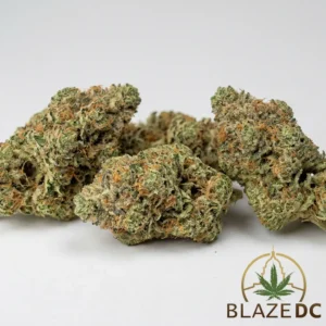 Sourlope Sativa-Hybrid Flower
