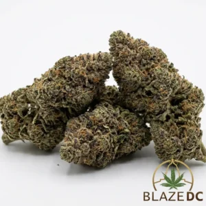 Bubblegum Gelato Cannabis Strain
