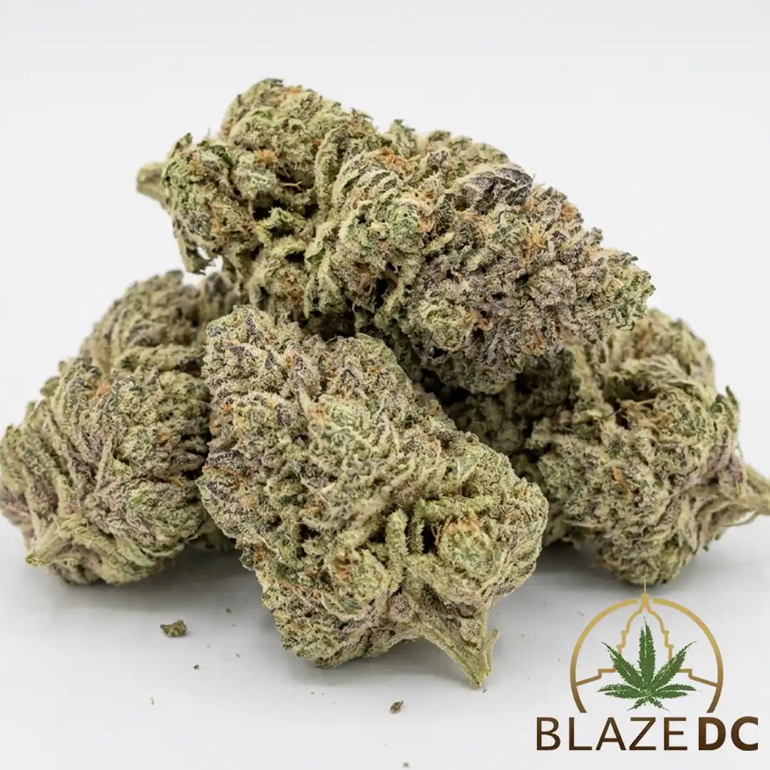 Tropicana Cookies Cannabis Strain