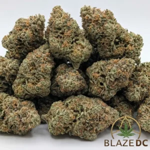 Chocolate Diesel Cannabis Strain