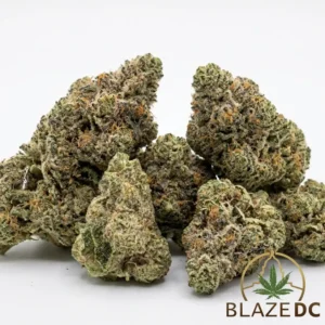 Hippie Crasher Cannabis Strain