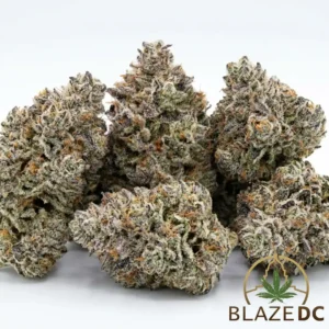 Coconut Cream Indica Hybrid Flower