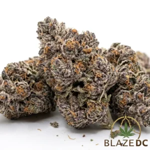 Purple Gelato Hybrid Flower