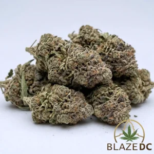 Cotton Candy Hybrid Flower