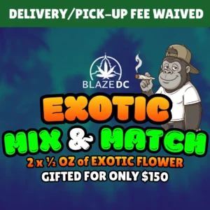 Exotic Mix and Match