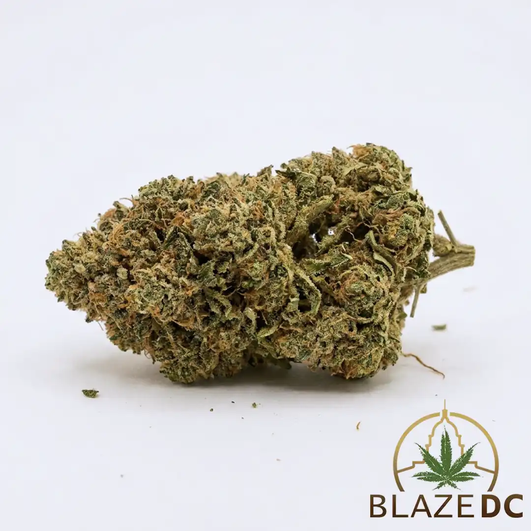 Banana Bread Cannabis Strain