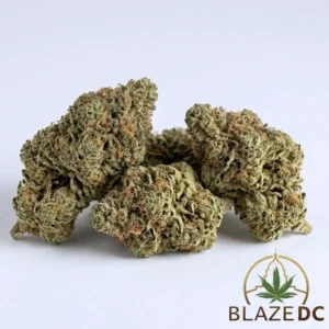 Pink Runtz Cannabis Strain